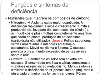 Funções e sintomas da
deficiência
 Nutrientes que integram os compostos de carbono
 Nitrogênio  A planta exige maior quantidade. A
deficiencia rapidamente inibe o crescimento. Limita a
produtividade, faz parte dos compostos da célula (aa,
ac. nucléicos e ptns). Folhas completamente amarelas
que caem da planta, produção de antocianinas
(carboidrata não utilizado), clorose. Folhas superiores
verdes amareladas e inferiores amarelas ou
castanahas. Móvel no xilema e floema. O excesso
provaca o crescimento excessivo de partes aéreas
sobre a raiz.
 Enxofre  Geralmente os solos tem enxofre em
excesso. É encontrado em 3 aa e várias coenzimas e
vitaminas essenciais ao metabolismo. Muitos sintomas
similares a deficiência de N (constituinte de ptn), mas é
observado primeiro nas folhas mais jovens. Pórem
 