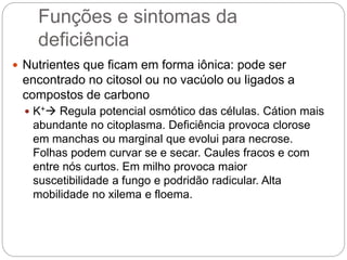 Funções e sintomas da
deficiência
 Nutrientes que ficam em forma iônica: pode ser
encontrado no citosol ou no vacúolo ou ligados a
compostos de carbono
 K+ Regula potencial osmótico das células. Cátion mais
abundante no citoplasma. Deficiência provoca clorose
em manchas ou marginal que evolui para necrose.
Folhas podem curvar se e secar. Caules fracos e com
entre nós curtos. Em milho provoca maior
suscetibilidade a fungo e podridão radicular. Alta
mobilidade no xilema e floema.
 