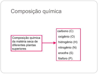 Composição química
 
