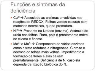 Funções e sintomas da
deficiência
 Cu2+ Associado as enzimas envolvidas nas
reações de REDOX. Folhas verdes escuras com
manchas necróticas, queda prematura.
 Ni2+ Presente na Urease (enzima). Acúmulo de
ureia nas folhas. Raro, pois é prontamente móvel
no xilema e floema.
 Mo4+ e Mo6+ Componente de várias enzimas
como nitrato redutase e nitrogenase. Clorose e
necrose de folhas mais velhas. Impedimento a
formação de flores e elas cairem
prematuramente. Deficiência de N, caso ela
dependa da fixação biológica do N.
 