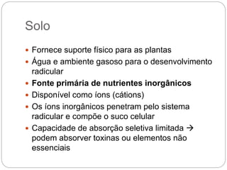 Solo
 Fornece suporte físico para as plantas
 Água e ambiente gasoso para o desenvolvimento
radicular
 Fonte primária de nutrientes inorgânicos
 Disponível como íons (cátions)
 Os íons inorgânicos penetram pelo sistema
radicular e compõe o suco celular
 Capacidade de absorção seletiva limitada 
podem absorver toxinas ou elementos não
essenciais
 