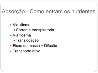 Absorção - Como entram os nutrientes
 Via xilema
 Corrente transpiratória
 Via floema
 Translocação
 Fluxo de massa + Difusão
 Transporte ativo
 