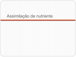 Assimilação de nutriente
 