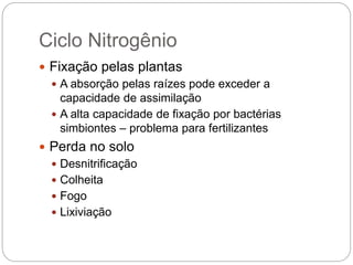 Ciclo Nitrogênio
 Fixação pelas plantas
 A absorção pelas raízes pode exceder a
capacidade de assimilação
 A alta capacidade de fixação por bactérias
simbiontes – problema para fertilizantes
 Perda no solo
 Desnitrificação
 Colheita
 Fogo
 Lixiviação
 