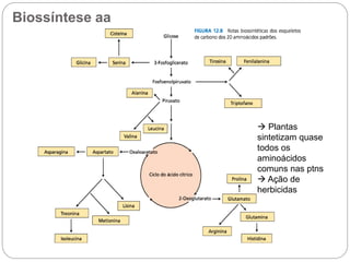  Plantas
sintetizam quase
todos os
aminoácidos
comuns nas ptns
 Ação de
herbicidas
Biossíntese aa
 