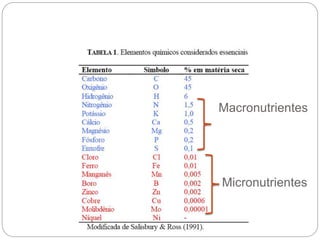 Macronutrientes
Micronutrientes
 