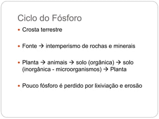 Ciclo do Fósforo
 Crosta terrestre
 Fonte  intemperismo de rochas e minerais
 Planta  animais  solo (orgânica)  solo
(inorgânica - microorganismos)  Planta
 Pouco fósforo é perdido por lixiviação e erosão
 