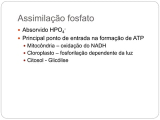 Assimilação fosfato
 Absorvido HPO4
-
 Principal ponto de entrada na formação de ATP
 Mitocôndria – oxidação do NADH
 Cloroplasto – fosforilação dependente da luz
 Citosol - Glicólise
 