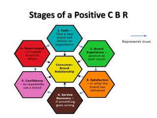 Stages of a Positive C B R
 