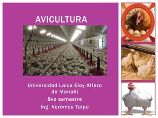 Universidad Laica Eloy Alfaro
de Manabí
8vo semestre
Ing. Verónica Taipe
AVICULTURA
 