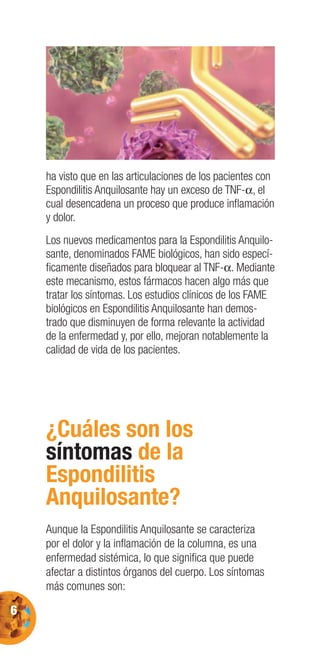 6
ha visto que en las articulaciones de los pacientes con
Espondilitis Anquilosante hay un exceso de TNF-α, el
cual desencadena un proceso que produce inﬂamación
y dolor.
Los nuevos medicamentos para la Espondilitis Anquilo-
sante, denominados FAME biológicos, han sido especí-
ﬁcamente diseñados para bloquear al TNF-α. Mediante
este mecanismo, estos fármacos hacen algo más que
tratar los síntomas. Los estudios clínicos de los FAME
biológicos en Espondilitis Anquilosante han demos-
trado que disminuyen de forma relevante la actividad
de la enfermedad y, por ello, mejoran notablemente la
calidad de vida de los pacientes.
¿Cuáles son los
síntomas de la
Espondilitis
Anquilosante?
Aunque la Espondilitis Anquilosante se caracteriza
por el dolor y la inﬂamación de la columna, es una
enfermedad sistémica, lo que signiﬁca que puede
afectar a distintos órganos del cuerpo. Los síntomas
más comunes son:
 