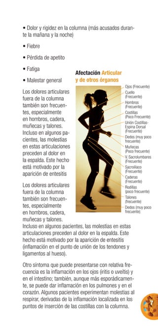 7
• Dolor y rigidez en la columna (más acusados duran-
te la mañana y la noche)
• Fiebre
• Pérdida de apetito
• Fatiga
• Malestar general
Los dolores articulares
fuera de la columna
también son frecuen-
tes, especialmente
en hombros, cadera,
muñecas y talones.
Incluso en algunos pa-
cientes, las molestias
en estas articulaciones
preceden al dolor en
la espalda. Este hecho
está motivado por la
aparición de entesitis
Los dolores articulares
fuera de la columna
también son frecuen-
tes, especialmente
en hombros, cadera,
muñecas y talones.
Incluso en algunos pacientes, las molestias en estas
articulaciones preceden al dolor en la espalda. Este
hecho está motivado por la aparición de entesitis
(inﬂamación en el punto de unión de los tendones y
ligamentos al hueso).
Otro síntoma que puede presentarse con relativa fre-
cuencia es la inﬂamación en los ojos (iritis o uveítis) y
en el intestino; también, aunque más esporádicamen-
te, se puede dar inﬂamación en los pulmones y en el
corazón. Algunos pacientes experimentan molestias al
respirar, derivadas de la inﬂamación localizada en los
puntos de inserción de las costillas con la columna.
Ojos (Frecuente)
Cuello
(Frecuente)
Hombros
(Frecuente)
Costillas
(Poco Frecuente)
Unión Costillas-
Espina Dorsal
(Frecuente)
Dedos (muy poco
frecuente)
Muñecas
(Poco frecuente)
V. Sacrolumbares
(Frecuente)
Sacroilíaco
(Frecuente)
Caderas
(Frecuente)
Rodillas
(poco frecuente)
Talones
(frecuente)
Dedos (muy poco
frecuente)
(Frecu
Dedos
frecue
Muñe
(Po(P co
V. SacS
(F(Frecu
S
Afectación Articular
y de otros órganos
 
