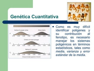 9 Mecanismos De EvolucióN | PPT
