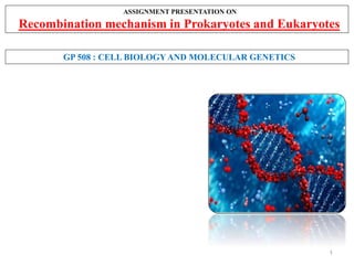1
ASSIGNMENT PRESENTATION ON
Recombination mechanism in Prokaryotes and Eukaryotes
GP 508 : CELL BIOLOGY AND MOLECULAR GENETICS
 