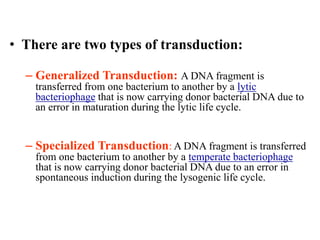 Mechanism of Recombination in Prokaryotes and Eukaryotes FINAL.pptx