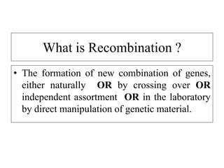 Mechanism of Recombination in Prokaryotes and Eukaryotes FINAL.pptx