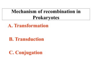 Mechanism of Recombination in Prokaryotes and Eukaryotes FINAL.pptx