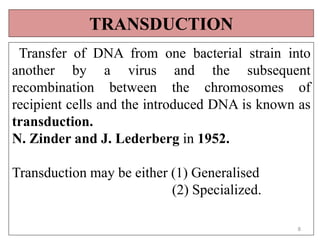 Mechanism of Recombination in Prokaryotes and Eukaryotes FINAL.pptx
