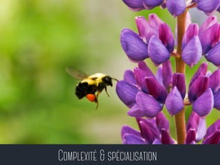 Complexité & spécialisation 
 