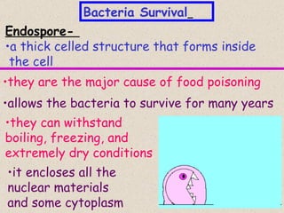 Bacteria Survival
Endospore-
•a thick celled structure that forms inside
 the cell
•they are the major cause of food poisoning
•allows the bacteria to survive for many years
•they can withstand
boiling, freezing, and
extremely dry conditions
•it encloses all the
nuclear materials
and some cytoplasm                        19
 