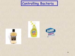 Controlling Bacteria




                       38
 