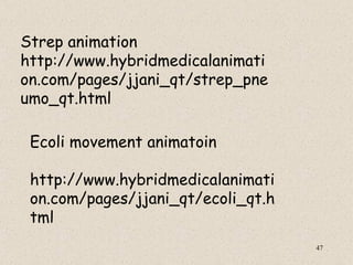 Strep animation
http://www.hybridmedicalanimati
on.com/pages/jjani_qt/strep_pne
umo_qt.html

 Ecoli movement animatoin

 http://www.hybridmedicalanimati
 on.com/pages/jjani_qt/ecoli_qt.h
 tml
                                    47
 