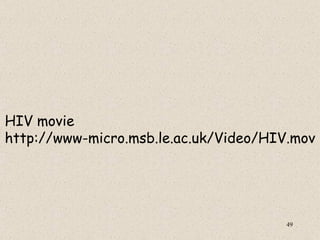 HIV movie
http://www-micro.msb.le.ac.uk/Video/HIV.mov




                                       49
 