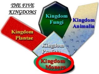 1
THE FIVE
KINGDOMS
 