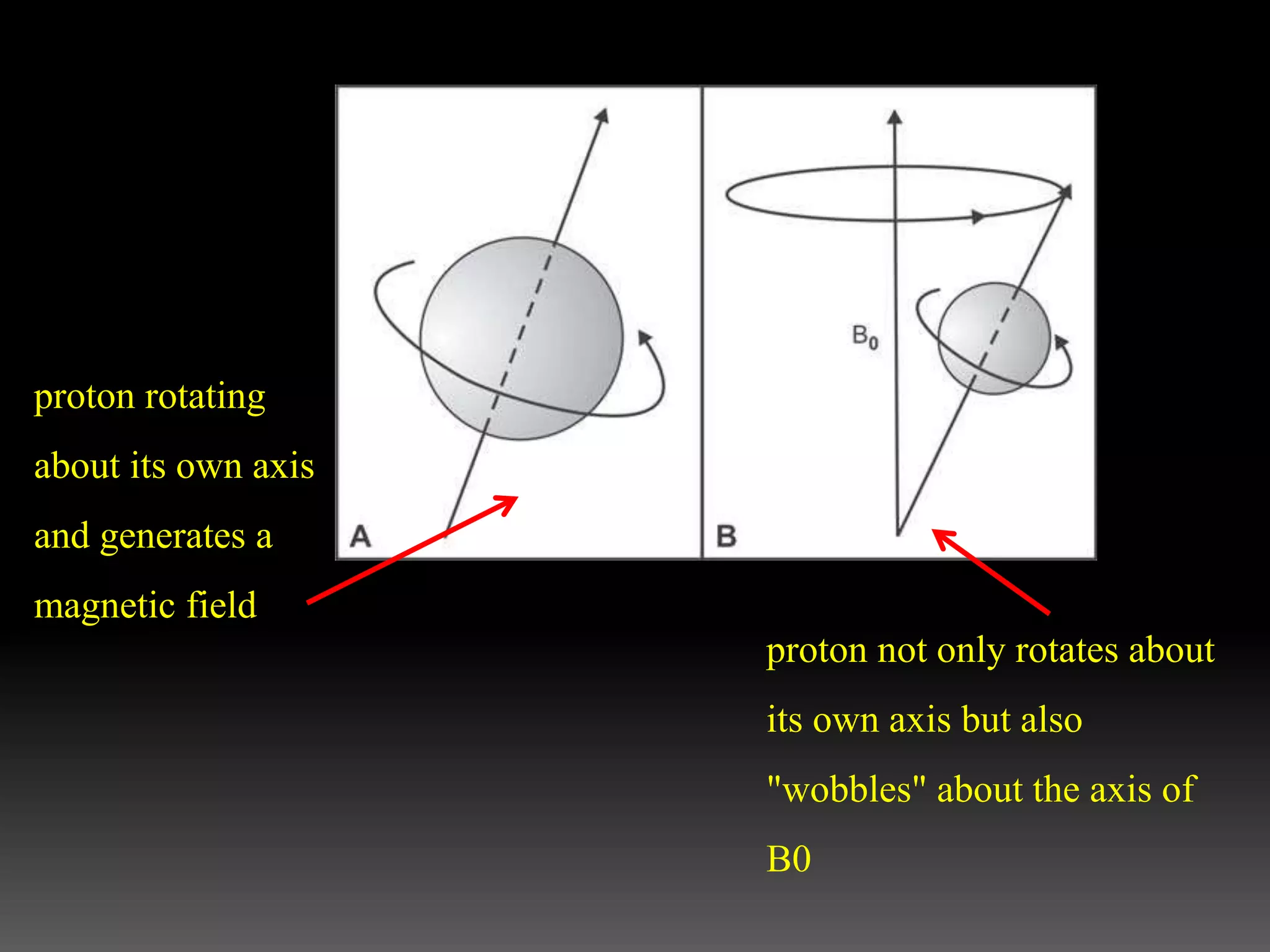proton rotating
about its own axis
and generates a
magnetic field
proton not only rotates about
its own axis but also
"wobbles" about the axis of
B0
 