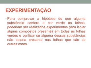 EXPERIMENTAÇÃO
• Para comprovar a hipótese de que alguma
substância confere a cor verde às folhas,
poderiam ser realizados experimentos para isolar
alguns compostos presentes em todas as folhas
verdes e verificar se alguma dessas substâncias
não estaria presente nas folhas que são de
outras cores.
 