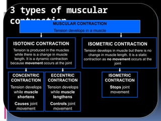 9 Muscle-Strength-and-Muscle-Action(1).pptx