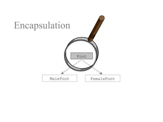 Encapsulation
MaleFoot FemaleFoot
Foot
 