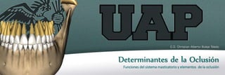 Determinantes de la Oclusión
Funciones del sistema masticatorio y elementos de la oclusión
C.D. Christian Alberto Buleje Toledo
 