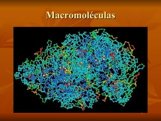 Macromoléculas 