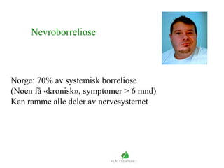 Nevroborreliose
Norge: 70% av systemisk borreliose
(Noen få «kronisk», symptomer > 6 mnd)
Kan ramme alle deler av nervesystemet
 
