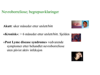 Nevroborreliose; begrepsavklaringer
Akutt: uker måneder etter utslett/bitt
«Kronisk»: > 6 måneder etter utslett/bitt. Sjelden
«Post Lyme disease syndrome» vedvarende
symptomer etter behandlet nevroborreliose
uten påvist aktiv infeksjon
 