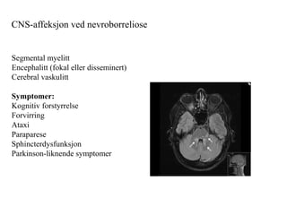 CNS-affeksjon ved nevroborreliose
Segmental myelitt
Encephalitt (fokal eller disseminert)
Cerebral vaskulitt
Symptomer:
Kognitiv forstyrrelse
Forvirring
Ataxi
Paraparese
Sphincterdysfunksjon
Parkinson-liknende symptomer
 