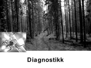 Diagnostikk
 