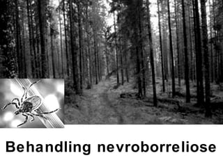 Behandling nevroborreliose
 