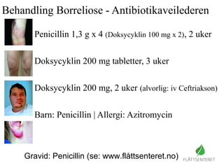 Behandling Borreliose - Antibiotikaveilederen
Penicillin 1,3 g x 4 (Doksycyklin 100 mg x 2), 2 uker
Doksycyklin 200 mg tabletter, 3 uker
Doksycyklin 200 mg, 2 uker (alvorlig: iv Ceftriakson)
Barn: Penicillin | Allergi: Azitromycin
Gravid: Penicillin (se: www.flåttsenteret.no)
 