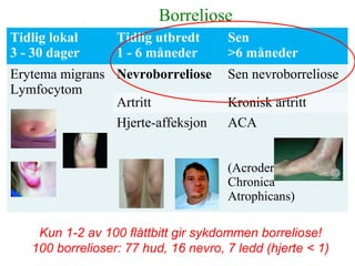 +
Tidlig lokal
3 - 30 dager
Tidlig utbredt
1 - 6 måneder
Sen
>6 måneder
Erytema migrans
Lymfocytom
Nevroborreliose Sen nevroborreliose
Artritt Kronisk artritt
Hjerte-affeksjon ACA
(Acrodermatitis
Chronica
Atrophicans)
Borreliose
Kun 1-2 av 100 flåttbitt gir sykdommen borreliose!
100 borrelioser: 77 hud, 16 nevro, 7 ledd (hjerte < 1)
 