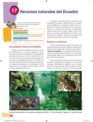 108
Localizar y apreciar los recursos naturales
del Ecuador y establecer su importancia
económica y social.
Recursos naturales del Ecuador17
Una geografía diversa y privilegiada
Nuestro país tiene grandes recursos natura-
les localizados en su suelo, vegetación, fauna,
recursos minerales y energéticos. Su geografía es
sumamente diversa y rica. Su territorio se ubi-
ca sobre la línea equinoccial y tiene grandes ex-
tensiones de vegetación tropical en la Costa, así
como de verdes y extensas llanuras amazónicas.
Las regiones tropicales se complementan con la
presencia de la cordillera de los Andes, que se
extiende desde el norte al sur.
La cadena montañosa andina conforma una
diversidad de valles y distintos tipos de suelos,
pisos ecológicos y microclimas, desde el frío he-
lado de las nieves perpetuas de los volcanes y
páramos, cruzando las planicies interandinas,
hasta el llano de las costas y playas. Este clima
tiene una elevada precipitación de lluvias y una
temperatura uniforme, apto para la producción
agrícola permanente y el turismo frecuente.
Bosques y ecoturismo
Ecuador tiene grandes recursos forestales, en
especial bosques primarios. Algunos están prote-
gidos y se han declarado “parques nacionales” o
“reservas naturales”. Los bosques están amena-
zados por la tala indiscriminada y su comerciali-
zación ilegal. Deben ser preservados para prote-
ger el futuro de la gente.
El país es atractivo para el turismo porque en
territorio relativamente pequeño se encuentra
una gran diversidad de paisajes que se puede
recorrer en poco tiempo. Ello no sucede en otros
países, en donde se requiere recorrer grandes
El bosque húmedo tropical es un ecosistema que alberga, entre otros, a: 1. la boa esmeralda, 2. jaguares, y 3. monos de la selva
1
2
3
Descubriendo juntos
¿Sabes lo que signiﬁca la palabra recurso? ¿Cuáles crees
que son los recursos con los que cuenta nuestro país?
¿Puedes imaginarte qué signiﬁca la diversidad de recur-
sos?
Fotos:CreativeCommons
Conocimientos previos
Desequilibrio cognitivo
ECONOMÍA DEL ECUADOR; pp.108-145 .indd 108 13/3/19 09:15
 