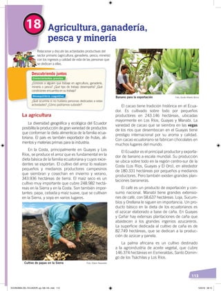 113
¿Conoces a alguien que trabaje en agricultura, ganadería,
minería o pesca? ¿Qué tipo de trabajo desempeña? ¿Qué
condiciones encuentra en su trabajo?
¿Qué ocurriría si no hubiera personas dedicadas a estas
actividades? ¿Cómo podríamos subsistir?
Relacionar y discutir las actividades productivas del
sector primario (agricultura, ganadería, pesca, minería)
con los ingresos y calidad de vida de las personas que
se dedican a ellas.
Descubriendo juntos
Agricultura, ganadería,
pesca y minería
18
El cacao tiene tradición histórica en el Ecua-
dor. Es cultivado sobre todo por pequeños
productores en 243.146 hectáreas, ubicadas
mayormente en Los Ríos, Guayas y Manabí. La
variedad de cacao que se siembra en las vegas
de los ríos que desembocan en el Guayas tiene
prestigio internacional por su aroma y calidad.
Con cacao ecuatoriano se fabrican chocolates en
muchos lugares del mundo.
El Ecuador es el principal productor y exporta-
dor de banano a escala mundial. Su producción
se ubica sobre todo en la región centro-sur de la
Costa (Los Ríos, Guayas y El Oro), en alrededor
de 180.331 hectáreas por pequeños y medianos
productores. Pero también existen grandes plan-
taciones bananeras.
El café es un producto de exportación y con-
sumo nacional. Manabí tiene grandes extensio-
nes de café, con 58.637 hectáreas. Loja, Sucum-
bíos y Orellana le siguen en importancia. Un pro-
ducto básico en la dieta de los ecuatorianos es
el azúcar elaborado a base de caña. En Guayas
y Cañar hay extensas plantaciones de caña que
abastecen a los grandes ingenios azucareros.
La superficie dedicada al cultivo de caña es de
82.749 hectáreas, que se dedican a la produc-
ción de azúcar y panela.
La palma africana es un cultivo destinado
a la agroindustria de aceite vegetal, que cubre
146.374 hectáreas en Esmeraldas, Santo Domin-
go de los Tsáchilas y Los Ríos.
La agricultura
La diversidad geográfica y ecológica del Ecuador
posibilita la producción de gran variedad de productos
que conforman la dieta alimenticia de la familia ecua-
toriana. El país es también exportador de frutas, ali-
mentos y materias primas para la industria.
En la Costa, principalmente en Guayas y Los
Ríos, se produce el arroz que es fundamental en la
dieta básica de la familia ecuatoriana y cuyos exce-
dentes se exportan. El cultivo del arroz lo realizan
pequeños y medianos productores campesinos
que siembran y cosechan en invierno y verano,
343.936 hectáreas de tierra. El maíz seco es un
cultivo muy importante que cubre 248.982 hectá-
reas en la Sierra y en la Costa. Son también impor-
tantes: papa, cebada y maíz suave, que se cultivan
en la Sierra, y soya en varios lugares.
Cultivo de papas en la Sierra Foto: Edwin Navarrete
Banano para la exportación Foto: Guido Alberto Bricio
Conocimientos previos
Desequilibrio cognitivo
ECONOMÍA DEL ECUADOR; pp.108-145 .indd 113 13/3/19 09:15
 