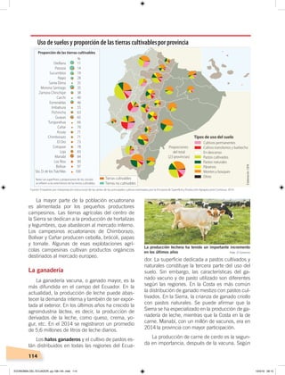 114
dor. La superficie dedicada a pastos cultivados y
naturales constituye la tercera parte del uso del
suelo. Sin embargo, las características del ga-
nado vacuno y de pasto utilizado son diferentes
según las regiones. En la Costa es más común
la distribución de ganado mestizo con pastos cul-
tivados. En la Sierra, la crianza de ganado criollo
con pastos naturales. Se puede afirmar que la
Sierra se ha especializado en la producción de ga-
nadería de leche, mientras que la Costa en la de
carne. Manabí, con un millón de vacunos, era en
2014 la provincia con mayor participación.
La producción de carne de cerdo es la segun-
da en importancia, después de la vacuna. Según
La mayor parte de la población ecuatoriana
es alimentada por los pequeños productores
campesinos. Las tierras agrícolas del centro de
la Sierra se dedican a la producción de hortalizas
y legumbres, que abastecen al mercado interno.
Los campesinos ecuatorianos de Chimborazo,
Bolívar y Cañar producen cebolla, brócoli, papas
y tomate. Algunas de esas explotaciones agrí-
colas campesinas cultivan productos orgánicos
destinados al mercado europeo.
La ganadería
La ganadería vacuna, o ganado mayor, es la
más difundida en el campo del Ecuador. En la
actualidad, la producción de leche puede abas-
tecer la demanda interna y también de ser expor-
tada al exterior. En los últimos años ha crecido la
agroindustria láctea, es decir, la producción de
derivados de la leche, como queso, crema, yo-
gur, etc. En el 2014 se registraron un promedio
de 5,6 millones de litros de leche diarios.
Los hatos ganaderos y el cultivo de pastos es-
tán distribuidos en todas las regiones del Ecua-
Proporciones
del total
(23 provincias)
Cultivos permanentes
Cultivo transitorios y barbecho
En descanso
Pastos cultivados
Pastos naturales
Páramos
Montes y bosques
Otros
Tipos de uso del suelo
Proporción de las tierras cultivables
Orellana
Pastaza
Sucumbíos
Napo
Santa Elena
Morona Santiago
Zamora Chinchipe
Carchi
Esmeraldas
Imbabura
Pichincha
Guayas
Tungurahua
Cañar
Azuay
Chimborazo
El Oro
Cotopaxi
Loja
Manabí
Los Ríos
Bolívar
Sto. D. de losTsáchilas
Nota: Las superﬁcies y proporciones de los círculos
se reﬁeren a las extensiones de las tierras cultivables.
Tierras cultivables
Tierras no cultivables
11
14
19
28
35
35
38
40
46
55
63
65
66
70
71
71
73
78
83
84
90
97
100
%
Uso de suelos y proporción de las tierras cultivablespor provincia
La producción lechera ha tenido un importante incremento
en los últimos años
Fuente: Empalme por interpolación estructural de las series de los principales cultivos estimados por la Encuesta de Superﬁcie y Producción Agropecuaria Continua, 2014.
Elaboración:CEN
Foto: El Comercio
ECONOMÍA DEL ECUADOR; pp.108-145 .indd 114 13/3/19 09:15
 