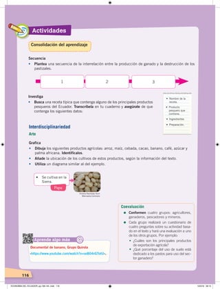 Actividades
116
Secuencia
• Plantea una secuencia de la interrelación entre la producción de ganado y la destrucción de los
pastizales.
1 2 3
Investiga
• Busca una receta típica que contenga alguno de los principales productos
pesqueros del Ecuador. Transcríbela en tu cuaderno y asegúrate de que
contenga los siguientes datos:
Grafica
• Dibuja los siguientes productos agrícolas: arroz, maíz, cebada, cacao, banano, café, azúcar y
palma africana. Identifícalos.
• Añade la ubicación de los cultivos de estos productos, según la información del texto.
• Utiliza un diagrama similar al del ejemplo.
•	 Nombre	de	la	
receta.
•	 Producto	
pesquero que
contiene.
•	 Ingredientes
•	 Preparación.
Aprende algo más
‹https://www.youtube.com/watch?v=seB04rGTotU›.
Documental de banano, Grupo Quirola
@
•		 Se	cultiva	en	la	
Sierra.
Papa
Victoria Rachitzky Hoch
Wikimedia Commons
Consolidación del aprendizaje
Interdisciplinariedad
Arte
Coevaluación
=	Conformen cuatro grupos: agricultores,
ganaderos, pescadores y mineros.
=	Cada grupo realizará un cuestionario de
cuatro preguntas sobre su actividad basa-
do en el texto y hará una evaluación a uno
de los otros grupos. Por ejemplo:
• ¿Cuáles son los principales productos
de exportación agrícola?
• ¿Qué porcentaje del uso de suelo está
dedicado a los pastos para uso del sec-
tor ganadero?
ECONOMÍA DEL ECUADOR; pp.108-145 .indd 116 13/3/19 09:15
 