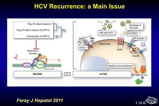C.H.B.
Feray J Hepatol 2011
HCV Recurrence: a Main Issue
 