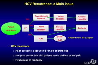 C.H.B.
LT
Asymptomatic
hepatitis
Acute
Hepatitis
FCH
Chronic
Hepatitis
Chronic
hepatitis
Death
RelT
Cirrhosis
Chronic
Hepatitis
Patient
HCV RNA+
Adapted from Mc Caughan
20%
70%
10%
HCV Recurrence: a Main issue
• HCV recurrence
o Poor outcome, accounting for 2/3 of graft lost
o Five years post-LT, 30% of LT patients have a cirrhosis on the graft
o First cause of mortality
 