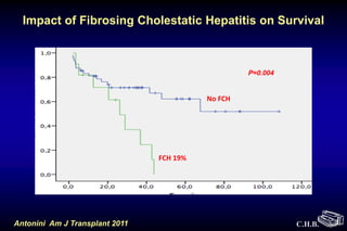 C.H.B.
Impact of Fibrosing Cholestatic Hepatitis on Survival
No FCH
FCH 19%
P=0.004
Antonini Am J Transplant 2011
 