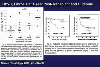 Blasco Hepatology 2006; 43: 492-499
HPVG, Fibrosis at 1 Year Post-Transplant and Outcome
 