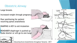 Obstetric, Anatomy and Physiology.pptx